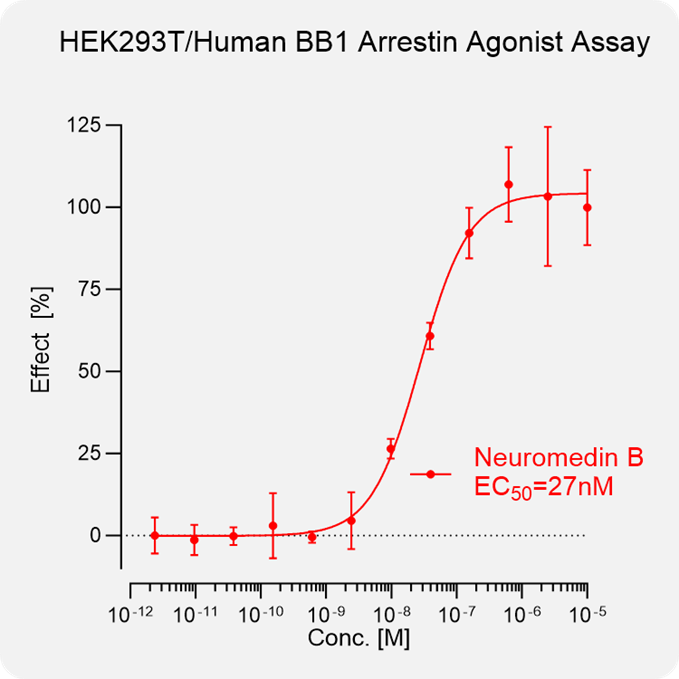 HEK293T Human BB1 β-Arrestin Stable Cell