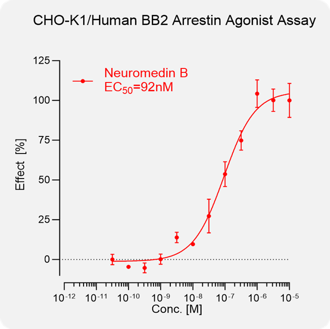 CHO-K1 Human BB2 Arrestin Stable Cell