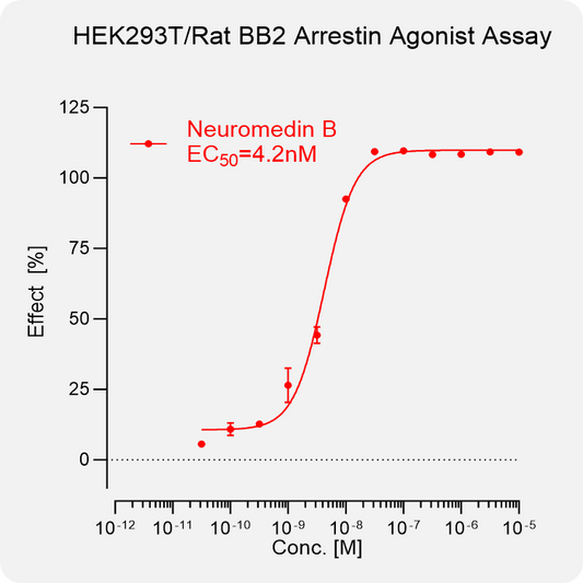 HEK293T Rat BB2 β-Arrestin Stable Cell