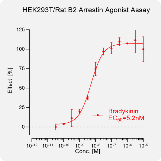 HEK293T Rat B2 β-Arrestin Stable Cell