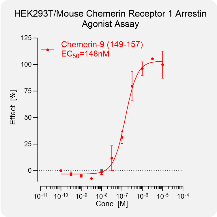 HEK293T Mouse Chemerin 1 Arrestin Stable Cell