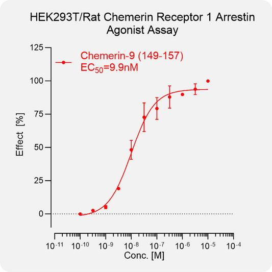 HEK293T Rat Chemerin 1 Arrestin Stable Cell