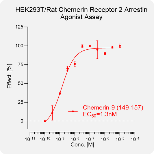 HEK293T Rat Chemerin 2 Arrestin Stable Cell