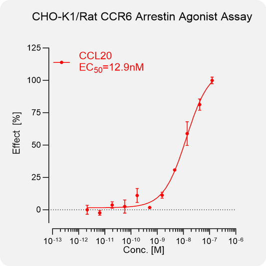 CHO-K1 Rat CCR6 Arrestin Stable Cell