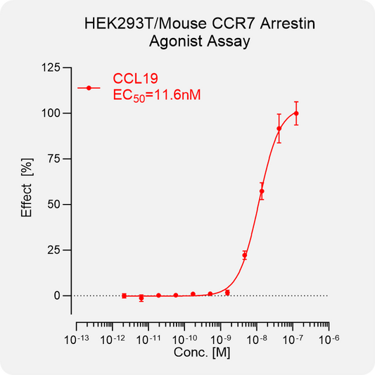 HEK293T Mouse CCR7 Arrestin Stable Cell