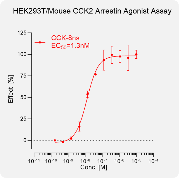 HEK293T Mouse CCK2 Arrestin Stable Cell