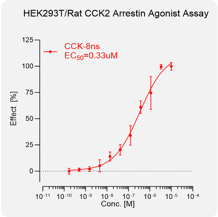 HEK293T Rat CCK2 Arrestin Stable Cell