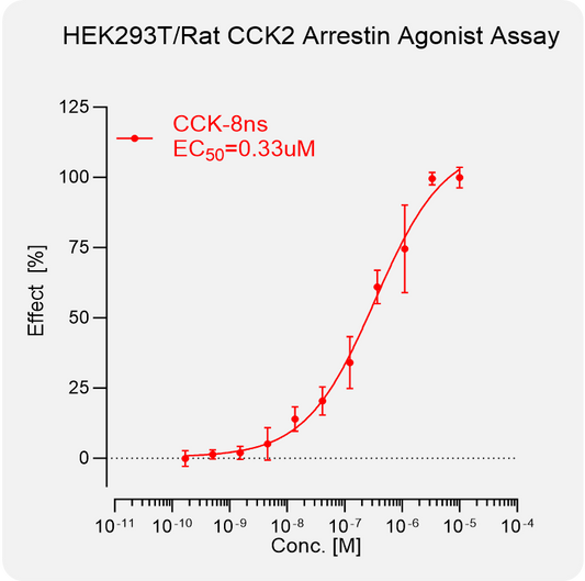 HEK293T Rat CCK2 Arrestin Stable Cell