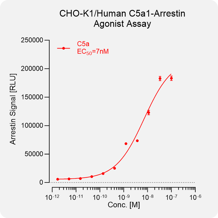 CHO-K1 Human C5A1 Arrestin Stable Cell