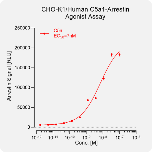 CHO-K1 Human C5A1 Arrestin Stable Cell