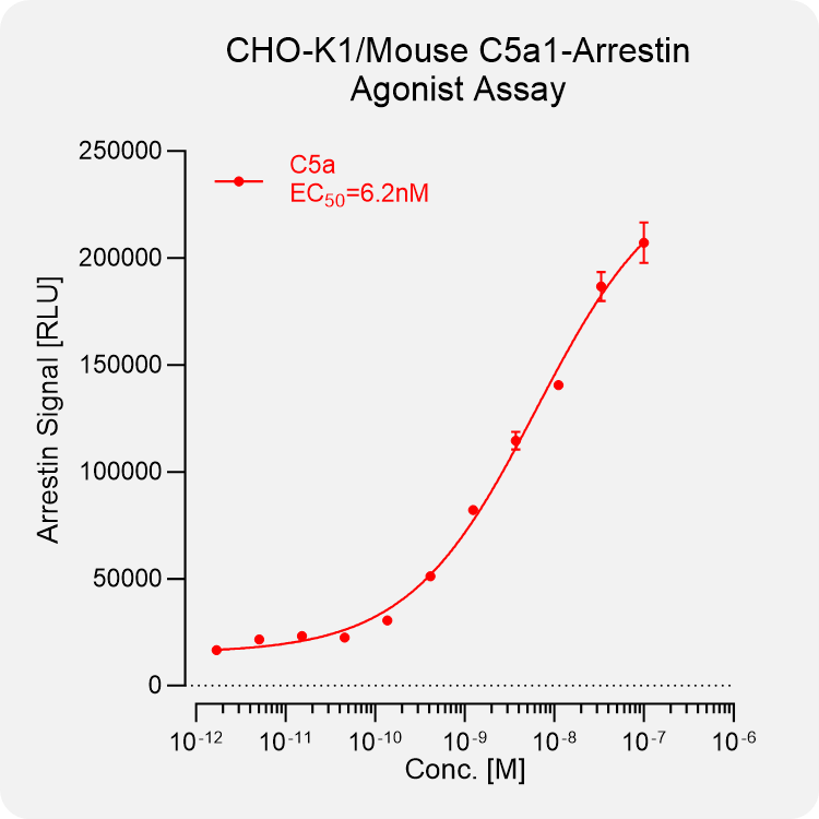 CHO-K1 Mouse C5A1 Arrestin Stable Cell