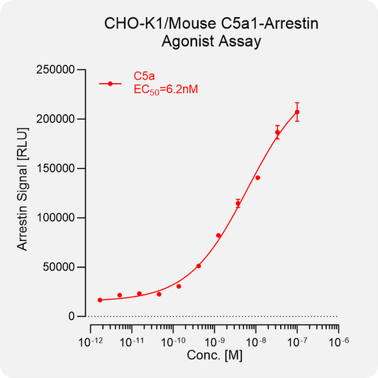 CHO-K1 Mouse C5A1 Arrestin Stable Cell