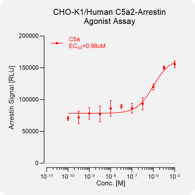CHO-K1 Human C5A2 Arrestin Stable Cell