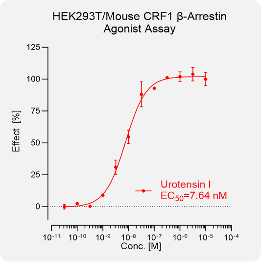 HEK293T Mouse CRF1 Arrestin Stable Cell