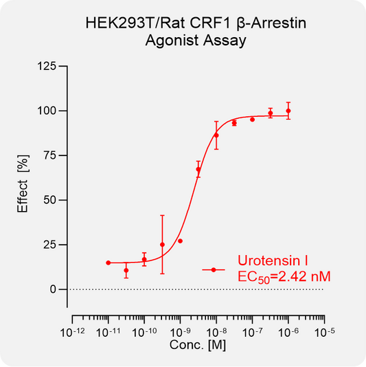 HEK293T Rat CRF1 Arrestin Stable Cell