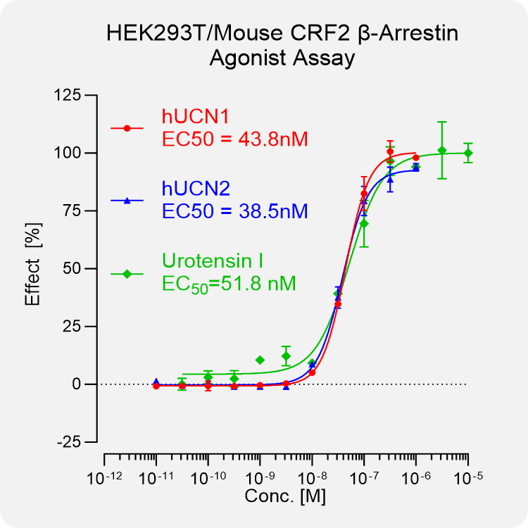 HEK293T Mouse CRF2 Arrestin Stable Cell
