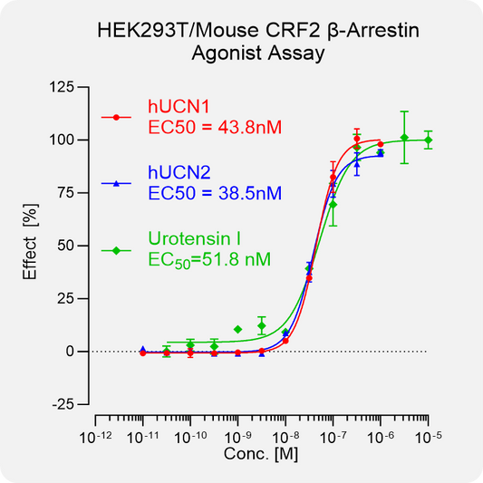 HEK293T Mouse CRF2 Arrestin Stable Cell