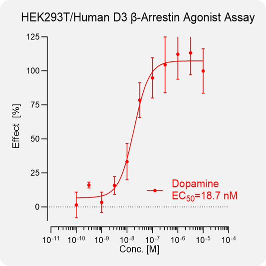 HEK293T Human D3 Arrestin Stable Cell