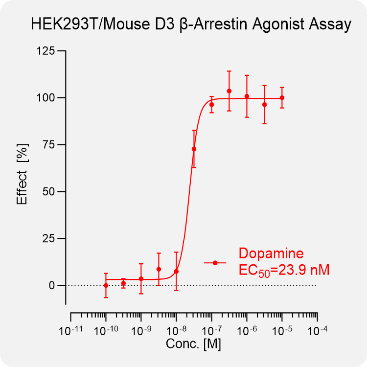 HEK293T Mouse D3 Arrestin Stable Cell
