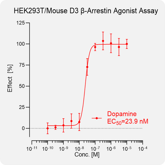 HEK293T Mouse D3 Arrestin Stable Cell