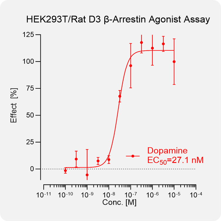 HEK293T Rat D3 Arrestin Stable Cell