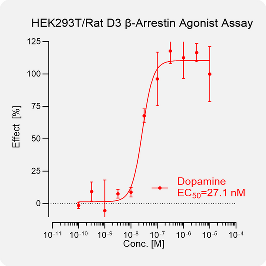 HEK293T Rat D3 Arrestin Stable Cell