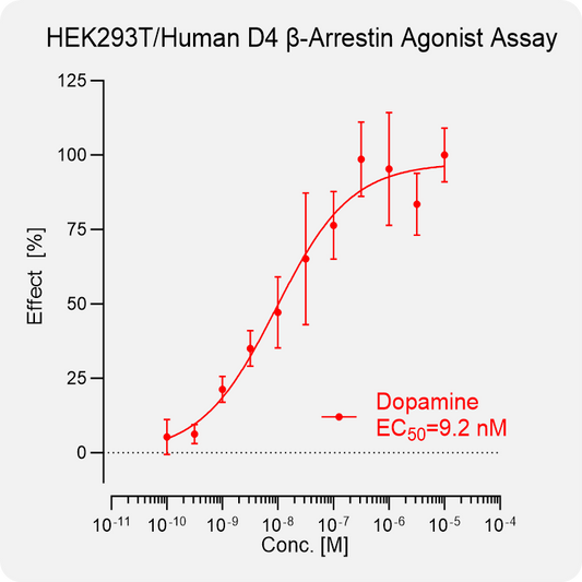HEK293T Human D4 Arrestin Stable Cell