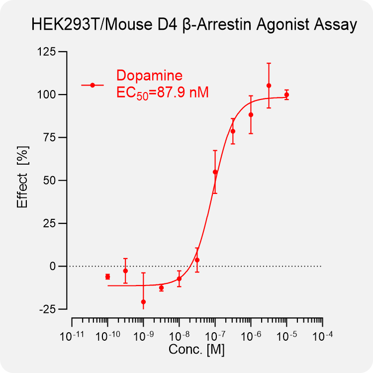 HEK293T Mouse D4 Arrestin Stable Cell