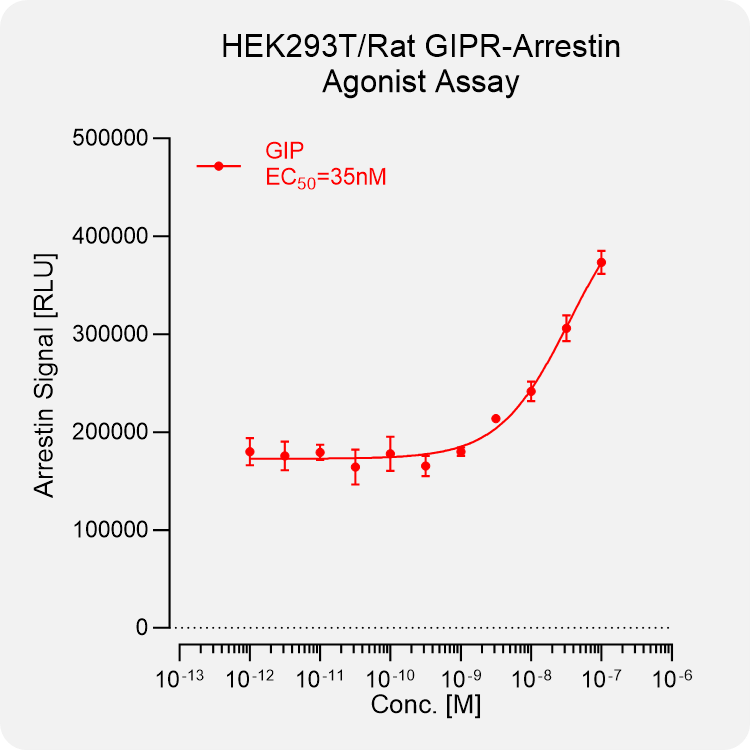 HEK293T Rat GIPR Arrestin Stable Cell