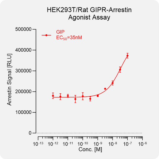 HEK293T Rat GIPR Arrestin Stable Cell