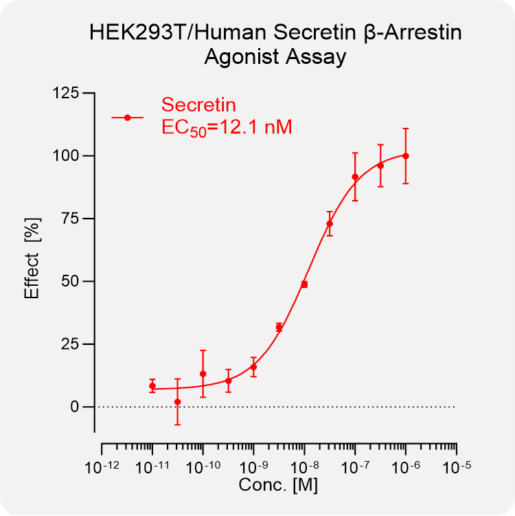 HEK293T Human Secretin Arrestin Stable Cell