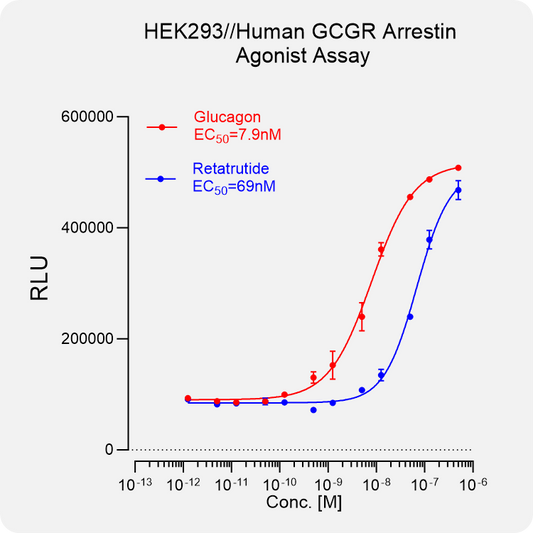 HEK293 Human GCGR Arrestin Stable Cell
