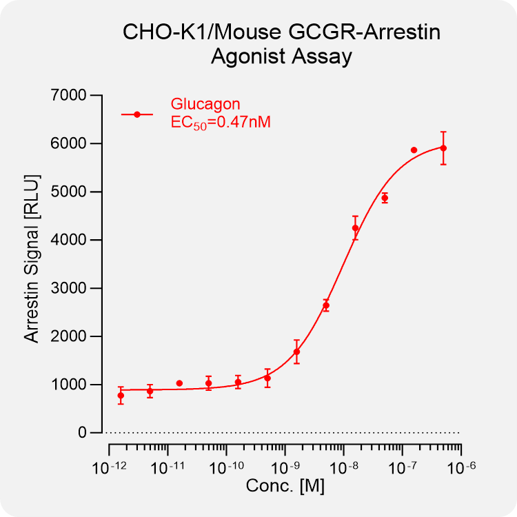 CHO-K1 Mouse GCGR Arrestin Stable Cell