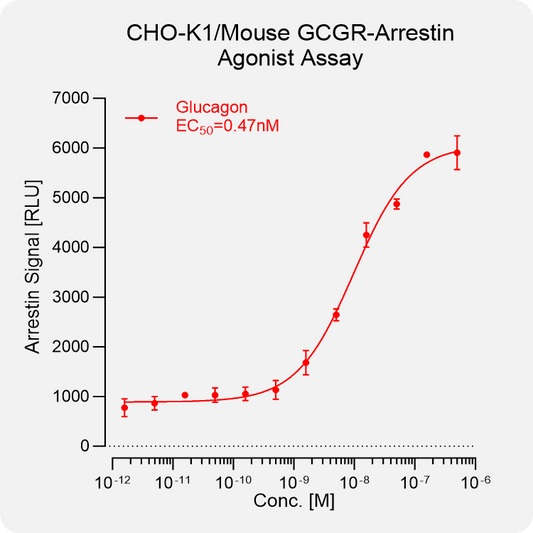 CHO-K1 Mouse GCGR Arrestin Stable Cell