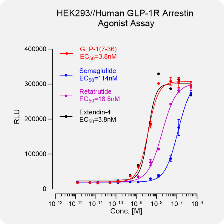 HEK293 Human GLP-1R Arrestin Stable Cell