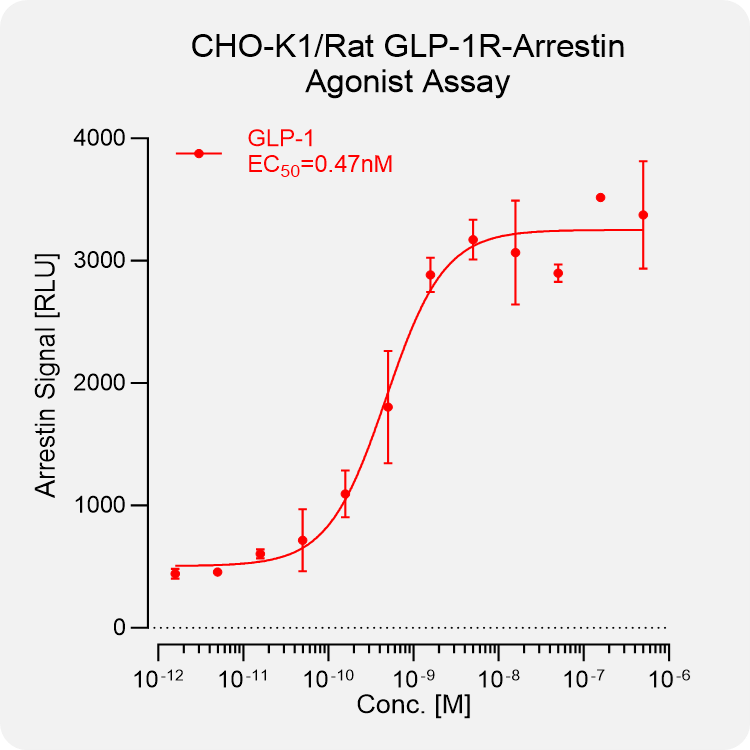 CHO-K1 Rat GLP-1 Arrestin Stable Cell