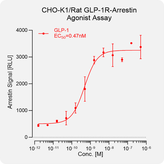 CHO-K1 Rat GLP-1 Arrestin Stable Cell