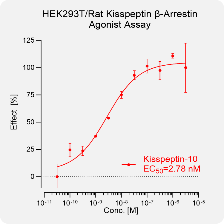 HEK293T Rat Kisspeptin Arrestin Stable Cell