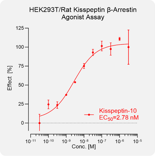 HEK293T Rat Kisspeptin Arrestin Stable Cell