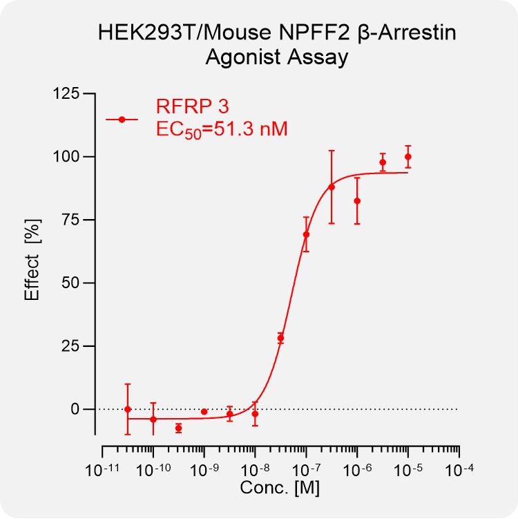 HEK293T Mouse NPFF2 Arrestin Stable Cell