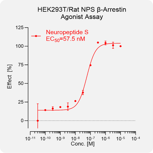 HEK293T Rat NPS Arrestin Stable Cell