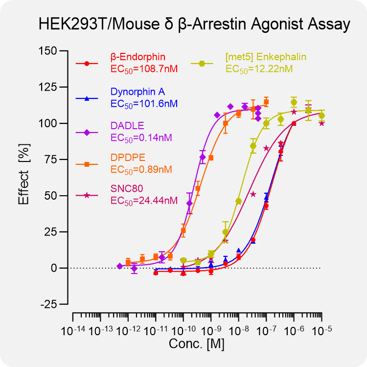 HEK293T Mouse δ Arrestin Stable Cell
