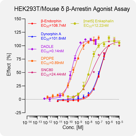 HEK293T Mouse δ Arrestin Stable Cell