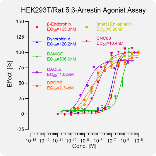 HEK293T Rat δ Arrestin Stable Cell