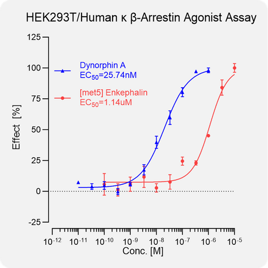 HEK293T Human κ Arrestin Stable Cell