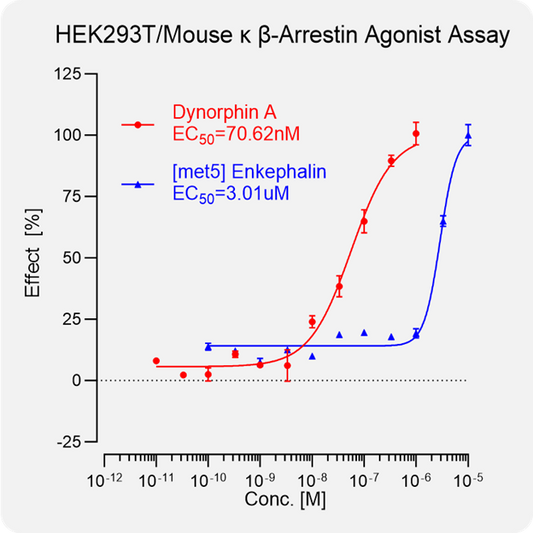 HEK293T Mouse κ Arrestin Stable Cell