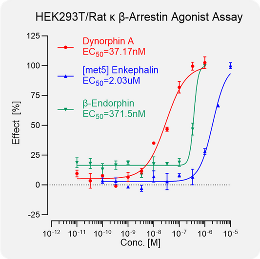 HEK293T Rat κ Arrestin Stable Cell