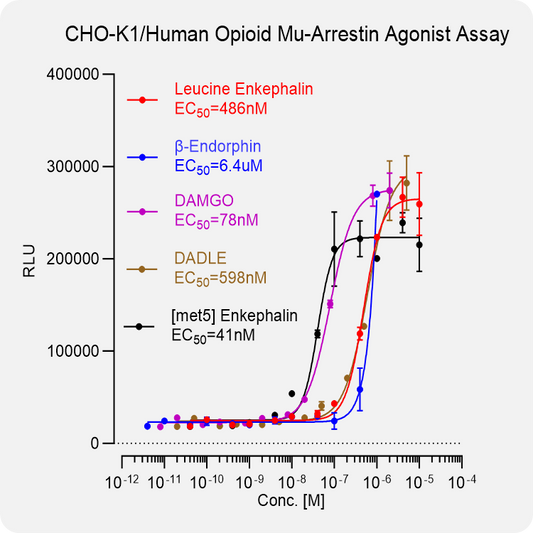 CHO-K1 Human Opioid Mu Arrestin Stable Cell