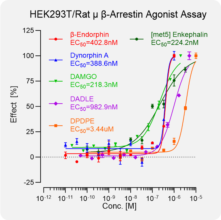 HEK293T Rat μ Arrestin Stable Cell