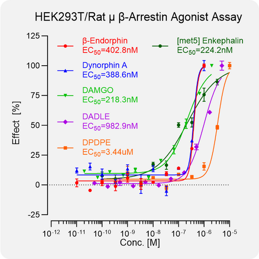 HEK293T Rat μ Arrestin Stable Cell